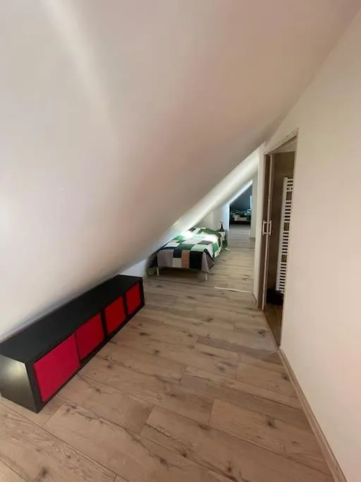 Francis Apartment 2 - Lazenske Centrum Karlovy Vary Czech Republic