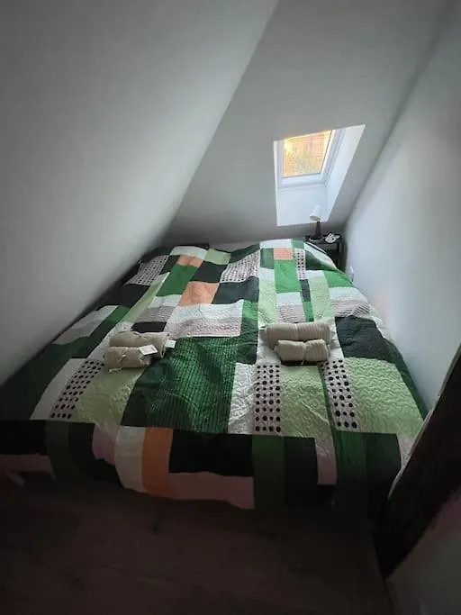 Francis Apartment 2 - Lazenske Centrum Karlovy Vary