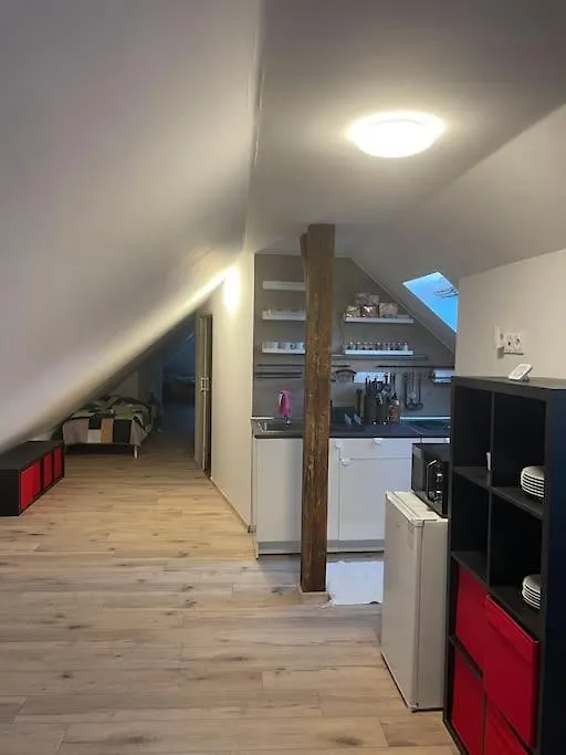 Francis Apartment 2 - Lazenske Centrum Karlovy Vary 0*,