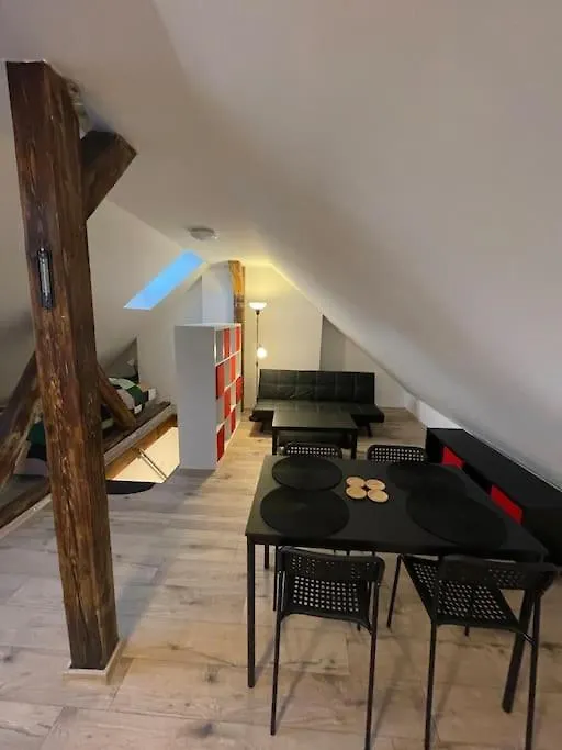 Francis Apartment 2 - Lazenske Centrum Karlovy Vary
