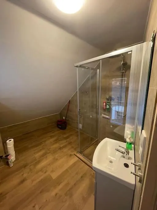 Francis Apartment 2 - Lazenske Centrum Karlovy Vary