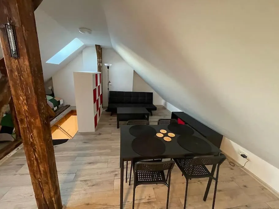 Francis Apartment 2 - Lazenske Centrum Karlovy Vary
