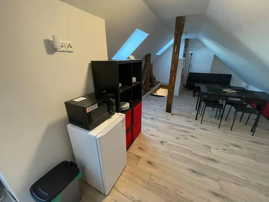 Francis Apartment 2 - Lazenske Centrum Karlovy Vary Czech Republic