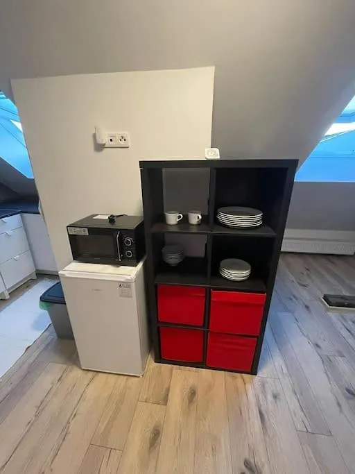 Francis Apartment 2 - Lazenske Centrum Karlovy Vary Czech Republic